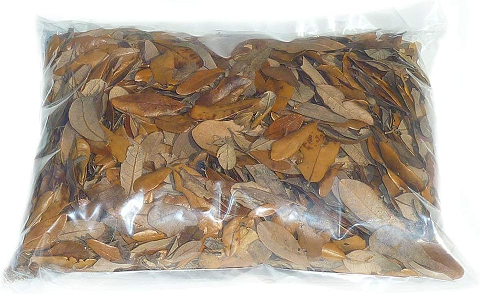Close-up of organic isopod food and reptile habitat leaf litter