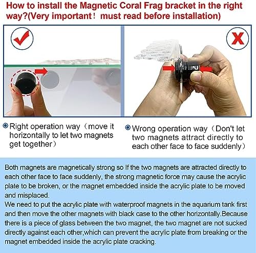 Aquarium Choice clear magnetic reef mount showing the strong backing magnet attachment process on glass.