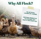 Manna Pro All Flock bag size comparison for 25 pounds