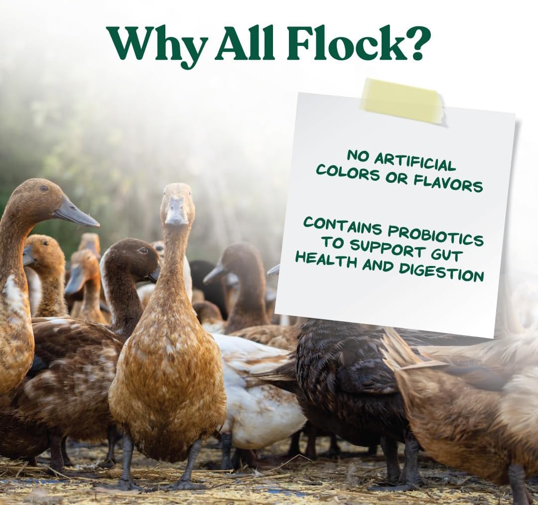 Manna Pro All Flock bag size comparison for 25 pounds