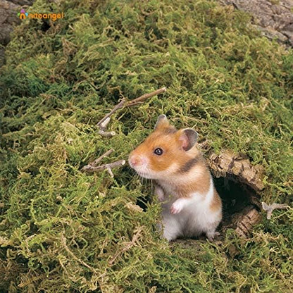 Niteangel 5L Forest Moss Soft Natural Moss Bedding Nesting for Dwarf Syrian Hamsters, Gerbils, mices, Degus or Other Small Animal - Image 4