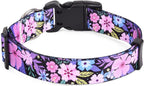 Mihqy floral pink tribal pattern dog collar side view