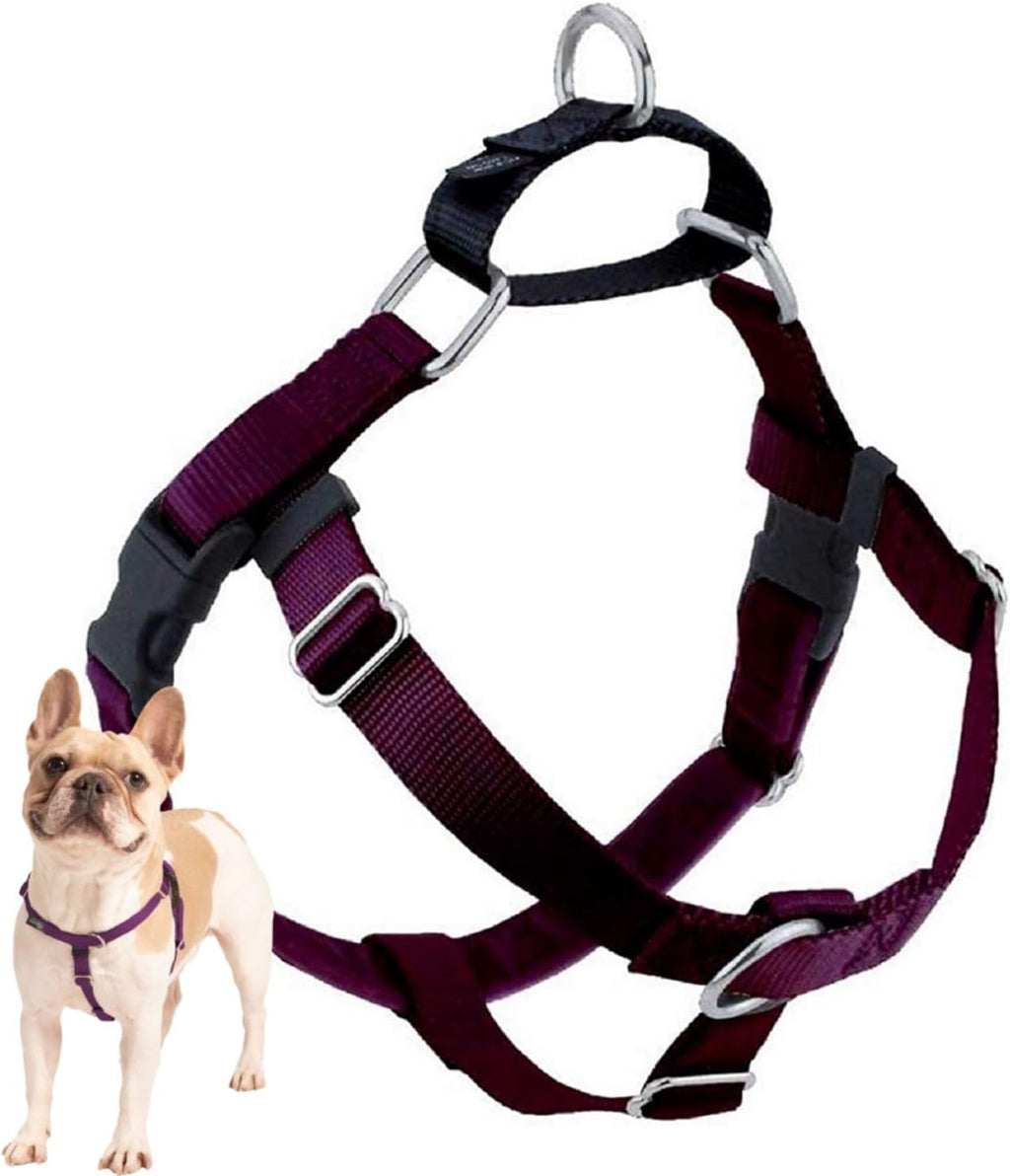 2 Hounds Design Freedom No Pull Dog Harness, Adjustable Harness, Easy Walking & Comfortable Control, Fits Small, Medium & Large Dogs, Solid Colors, Made in USA, 1" MD, Teal - Image 15