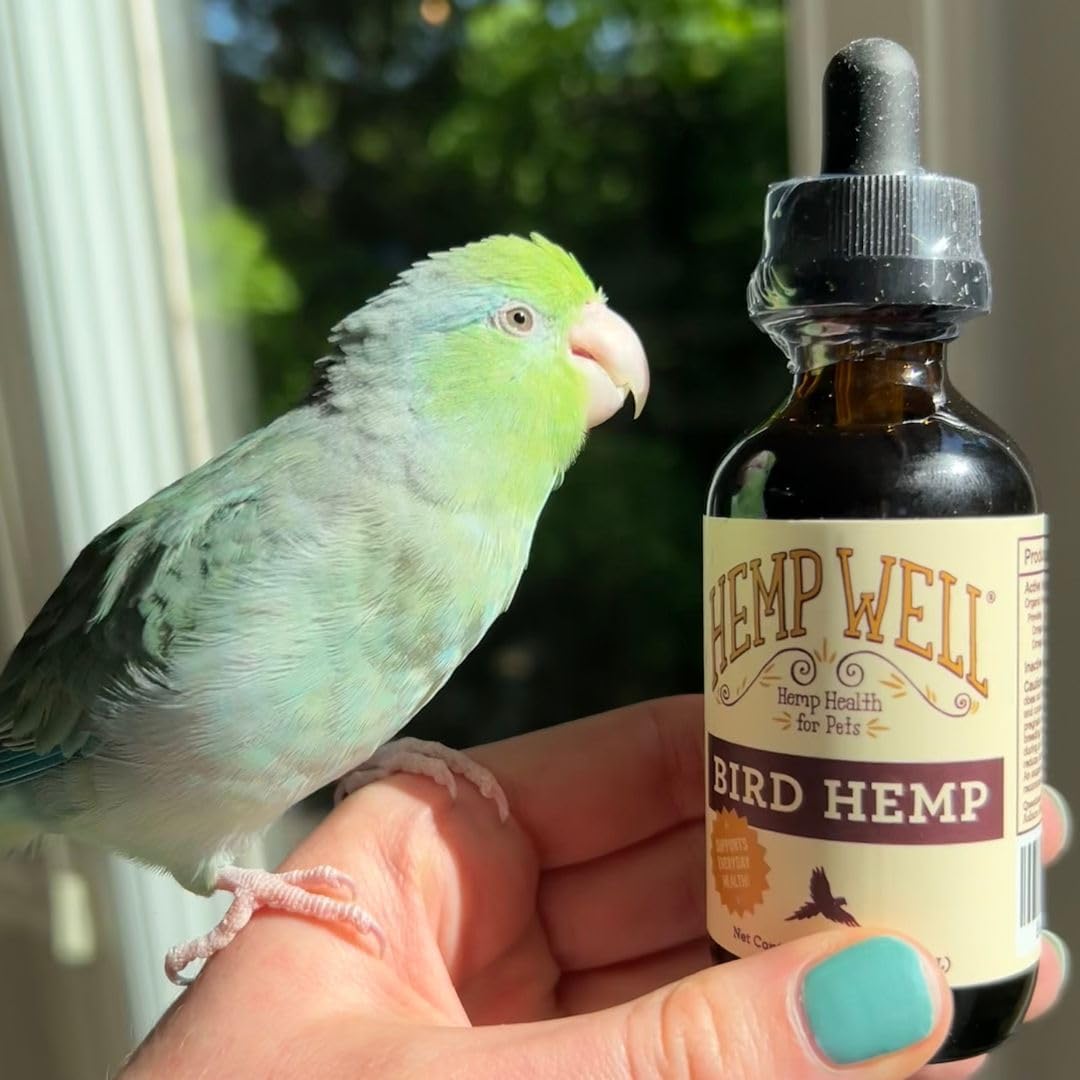 Hemp Well bird oil supplement used on bird seeds