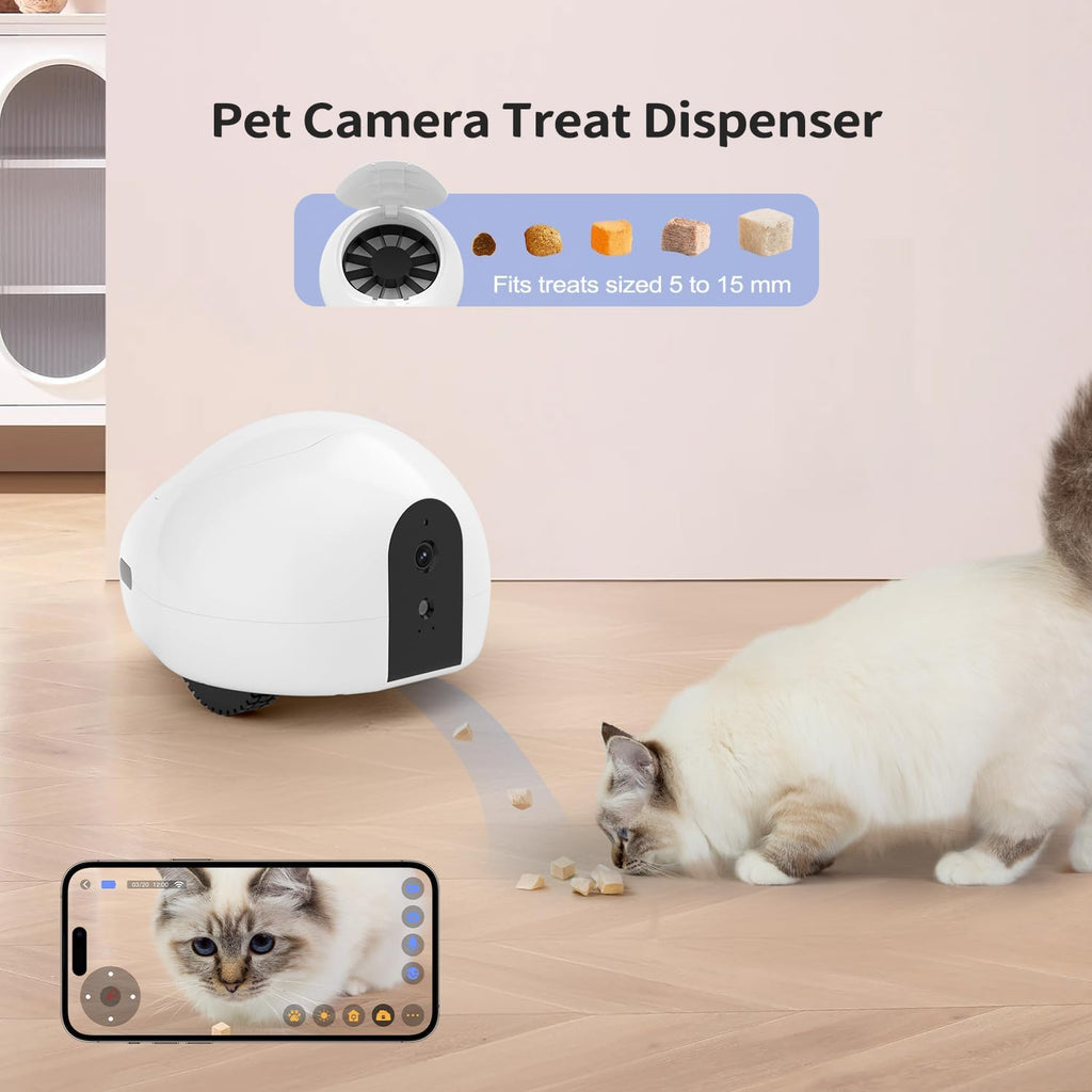 Mobile pet camera robot in living room with dog