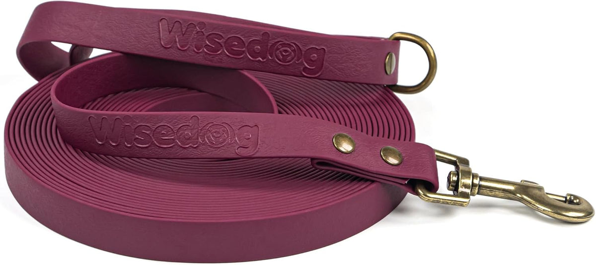 Wisedog odor proof polyvinyl chloride coated long dog lead on a white background