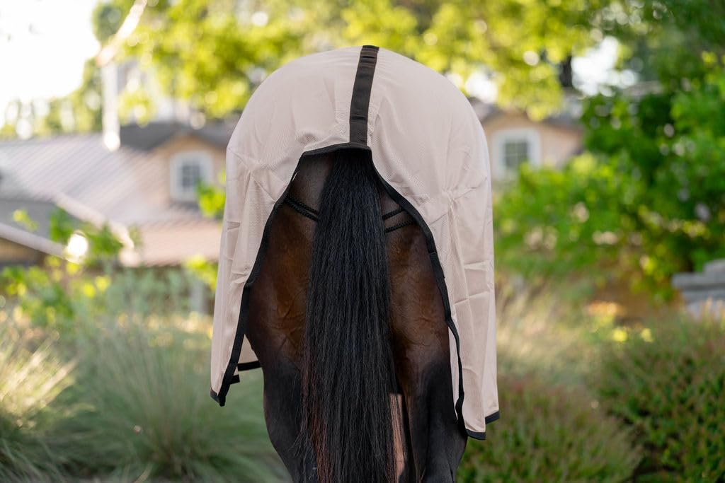 Detailed view of the low cross surcingles and belly straps on the protective horse sheet.