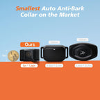 Small dog wearing guidoy no-shock bark collar side profile