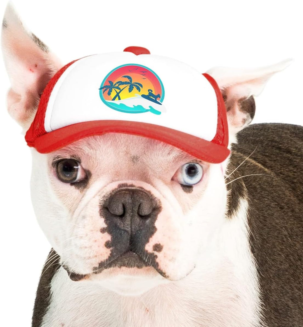 Back view of PupLid dog hat with elastic fit system