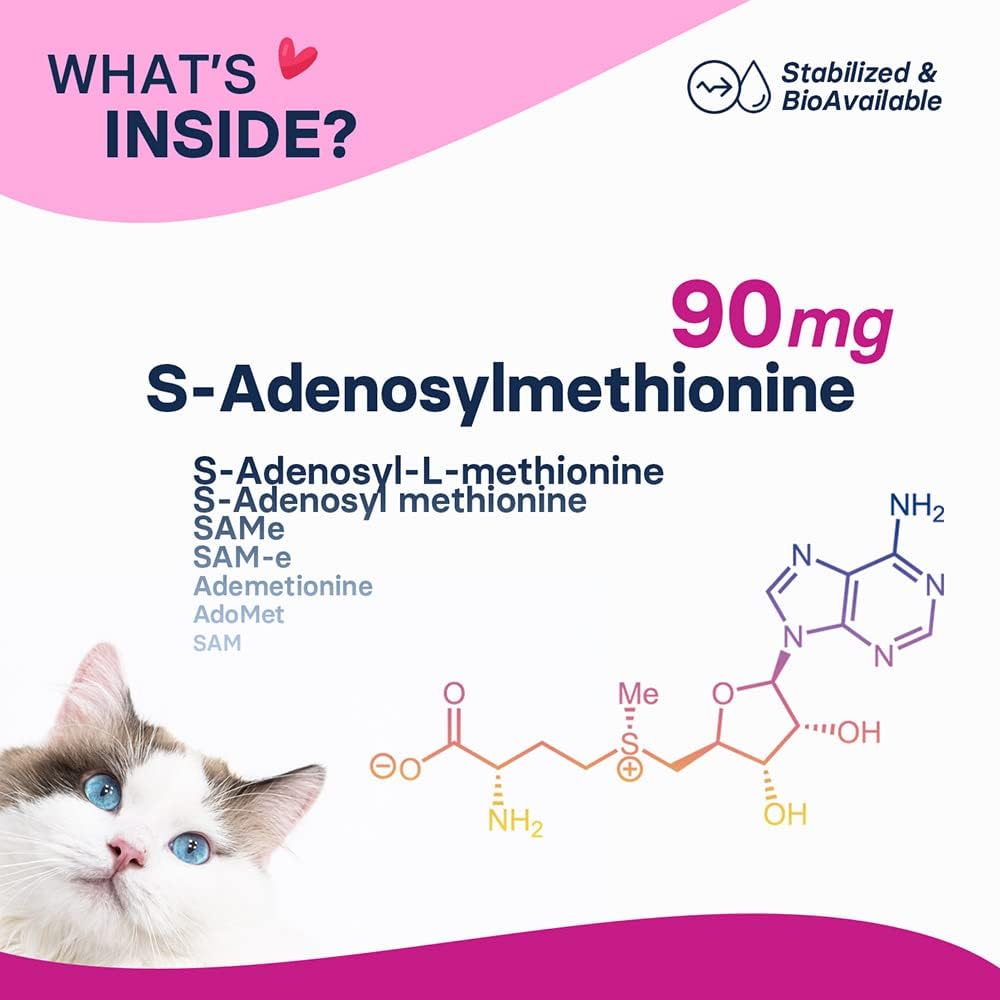 Generic SAM-e Liver and Brain Health Supplement for Small Dogs & Cats, S-aDENOSYLmethionine (Same), 60 Coated Tablets - Image 3