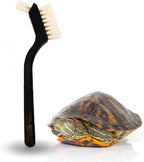 Turtle Cleaning Brush - Gently Remove Dirt from Turtles and Tortoises - Blue by Snout and Shell - Image 12