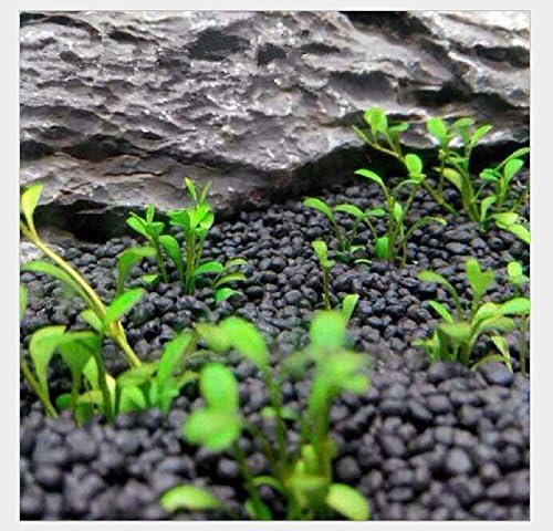 Porous substrate layer inside glass fish tank