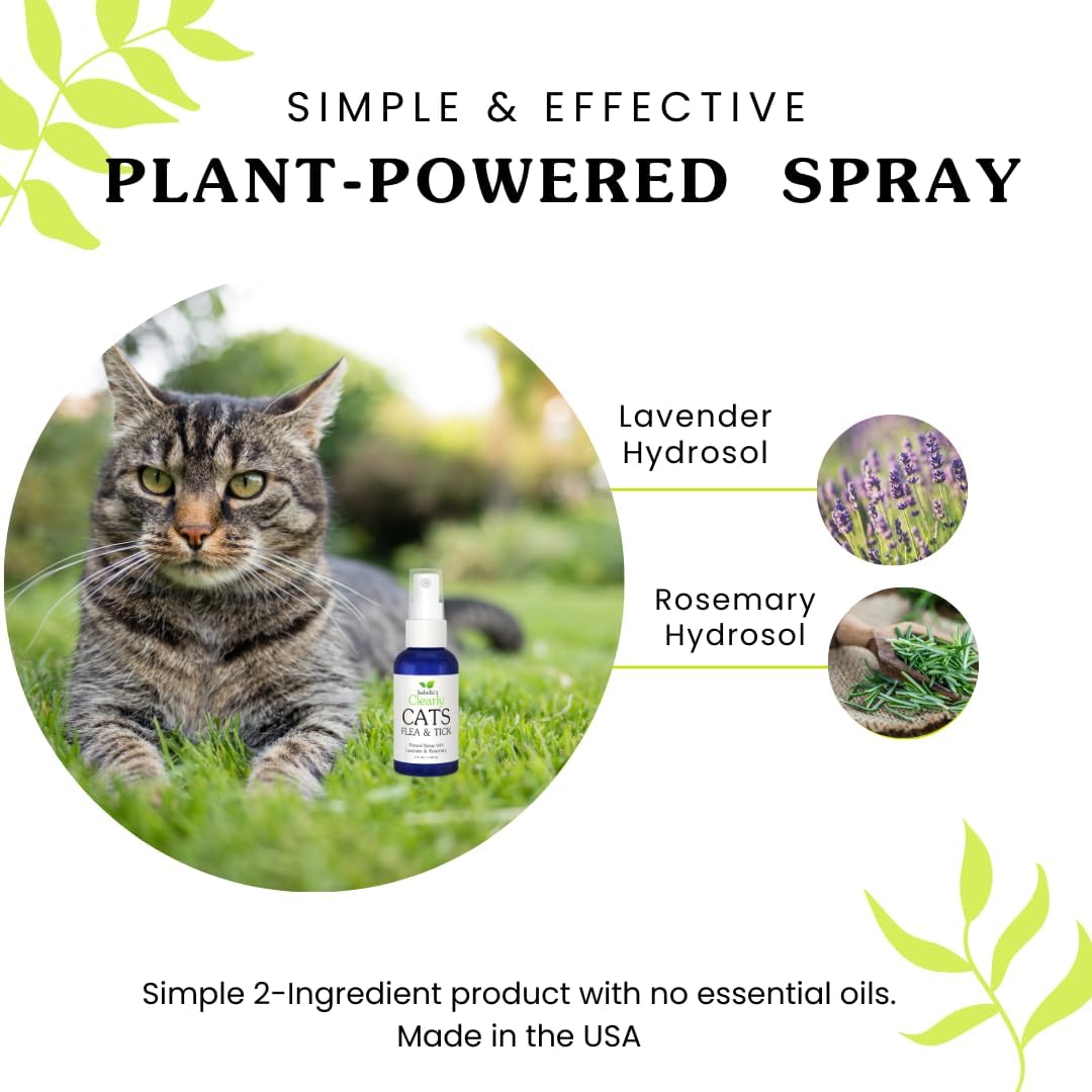 Isabella's Clearly Cats plant-based cruelty-free flea treatment bottle back view
