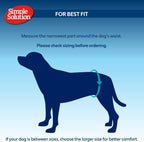 Side view of a medium dog wearing the Simple Solution absorbent belly band comfortably.