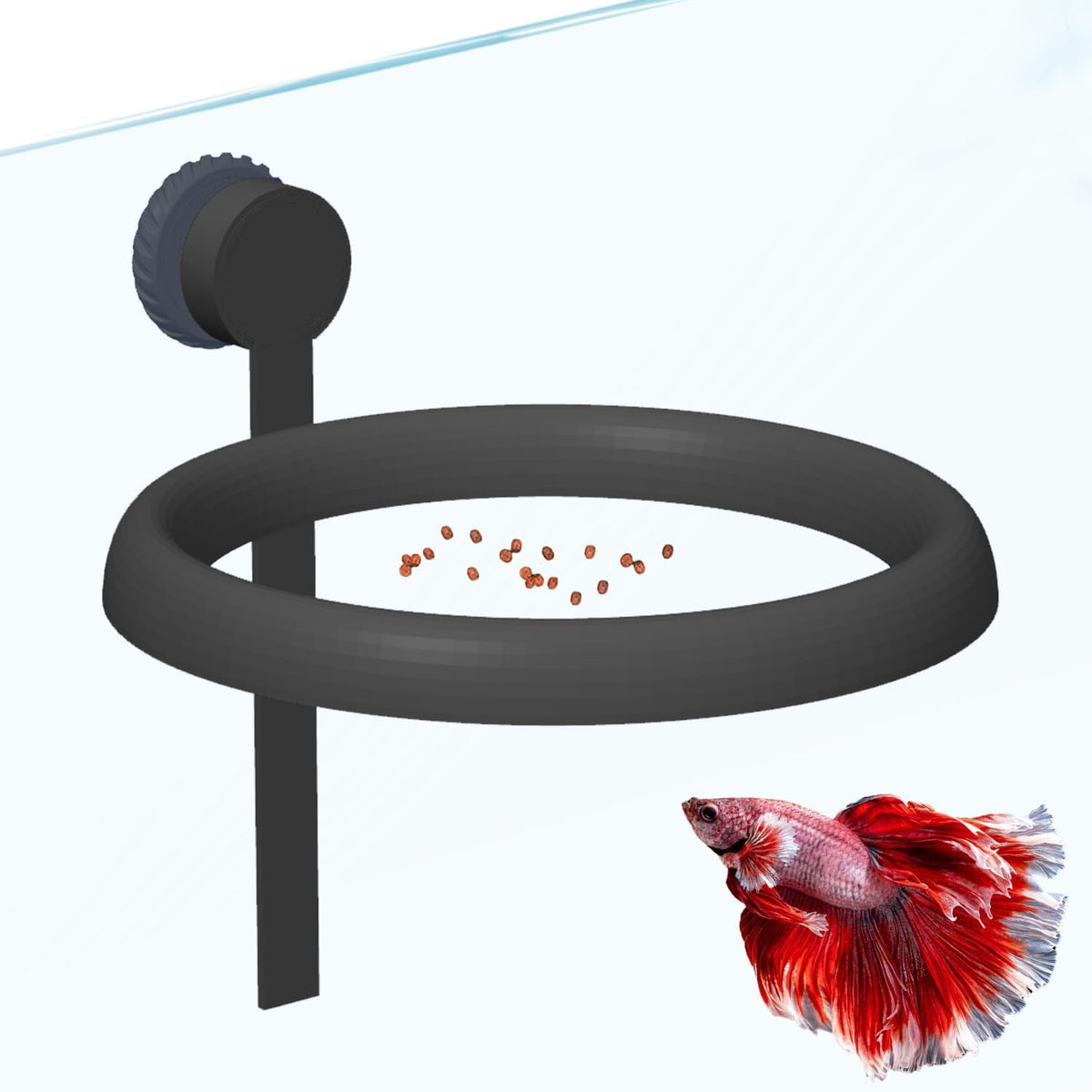 Daelala magnetic fish feeding ring front view floating in aquarium tank