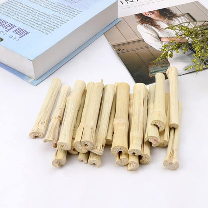 XLpeixin pet treats showcasing safe dental grinding toys for chinchillas.