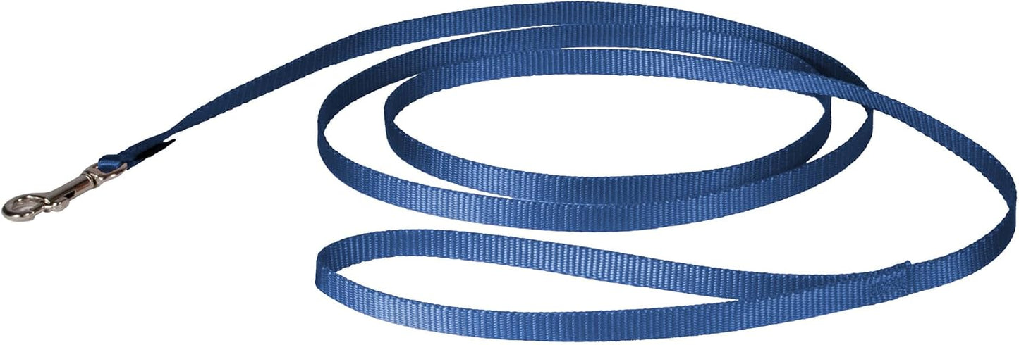 PetSafe Nylon Dog Leash royal blue front view high quality pet walking lead