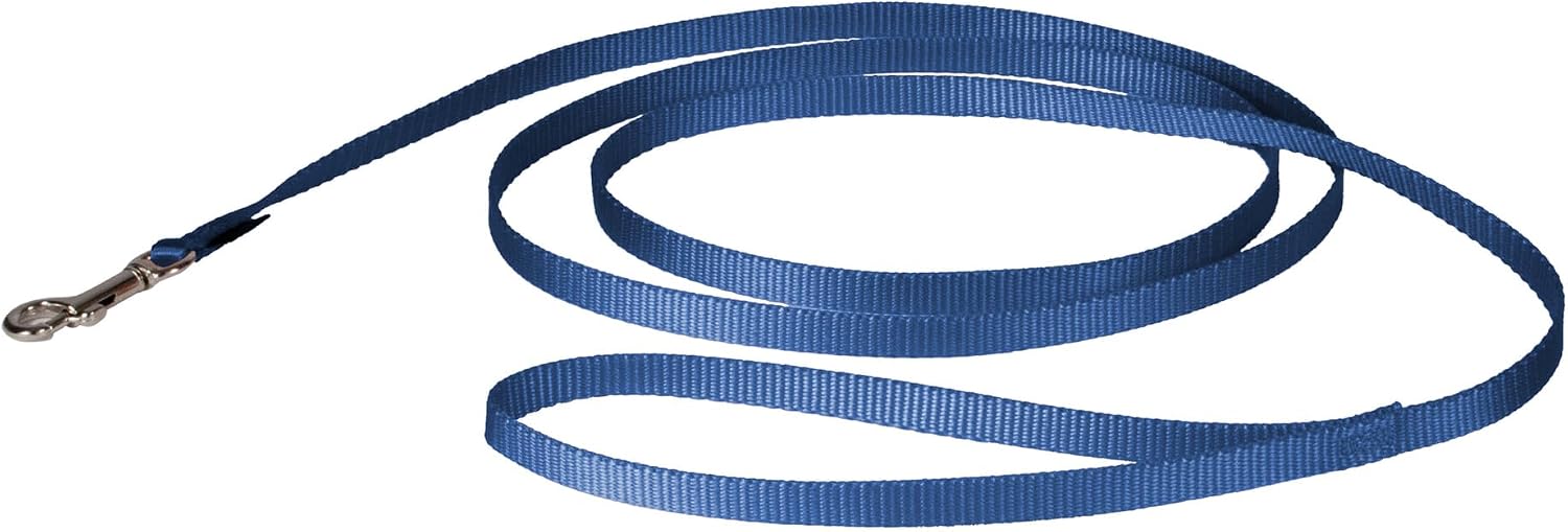 PetSafe Nylon Dog Leash royal blue front view high quality pet walking lead