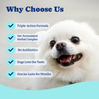 USA imported YoYoBay tear stain relief chews for white dogs