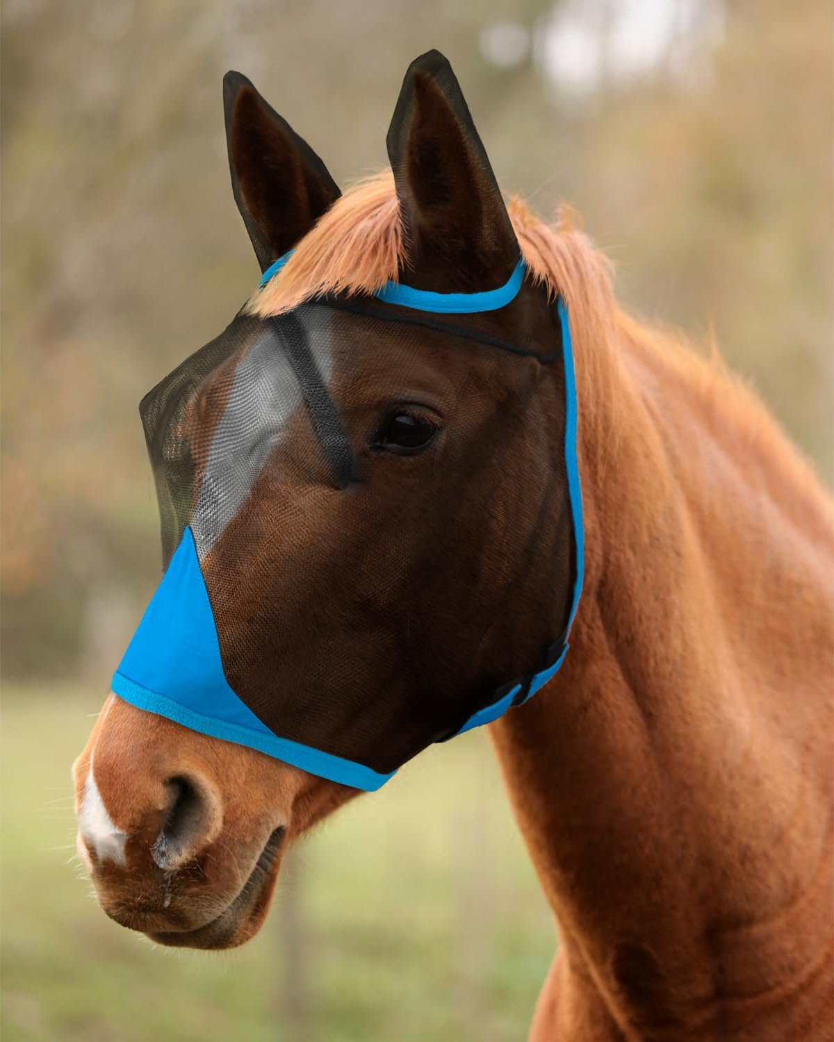 Hilltown fly mask for horse with ears front view blue