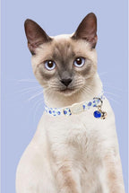Two pack summer themed cat collars for female and male indoor kittens.