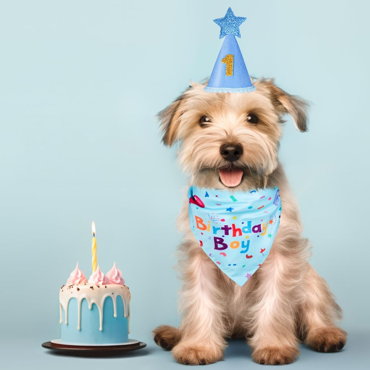 Soft triangle pet bandana with birthday boy print alongside the customized age hat