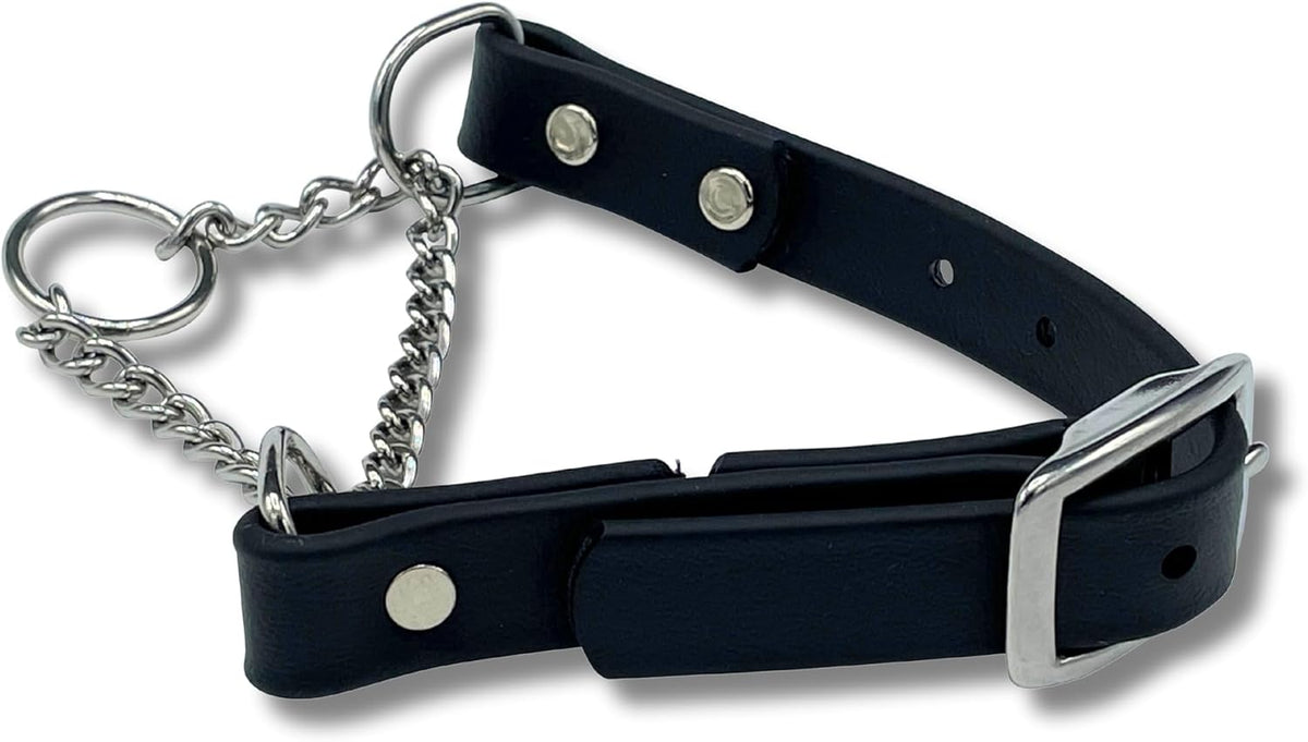 Jim Hodges Dog Training Martingale Collar front view for professional no pull obedience training.