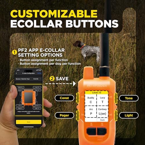Dogtra Pathfinder2 Mini tracking receiver collar laid flat showcasing the sturdy adjustable strap.
