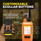 Dogtra Pathfinder2 Mini tracking receiver collar laid flat showcasing the sturdy adjustable strap.