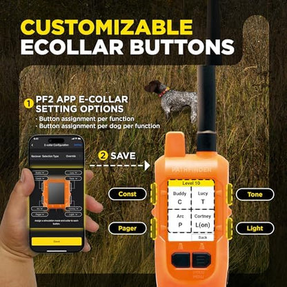 Dogtra Pathfinder2 Mini tracking receiver collar laid flat showcasing the sturdy adjustable strap.