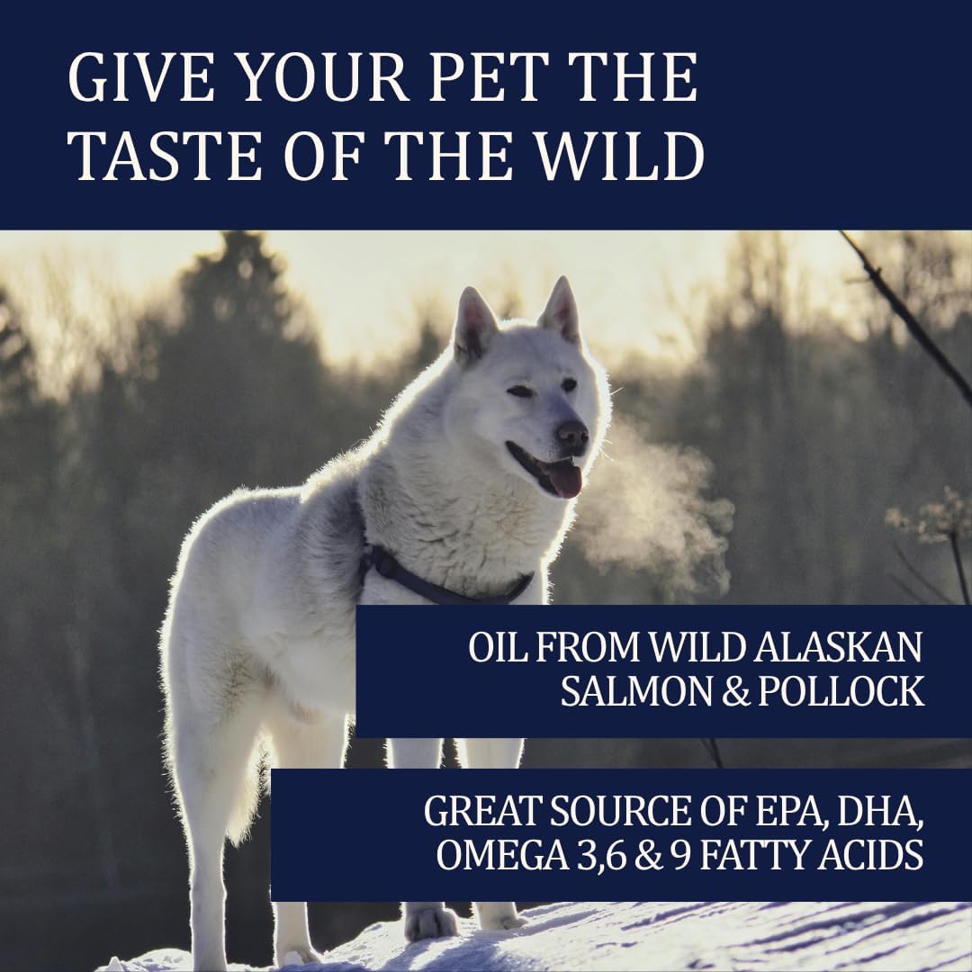 Omega 3 fish oil liquid food topper for dogs and cats experiencing dry skin and excessive shedding.