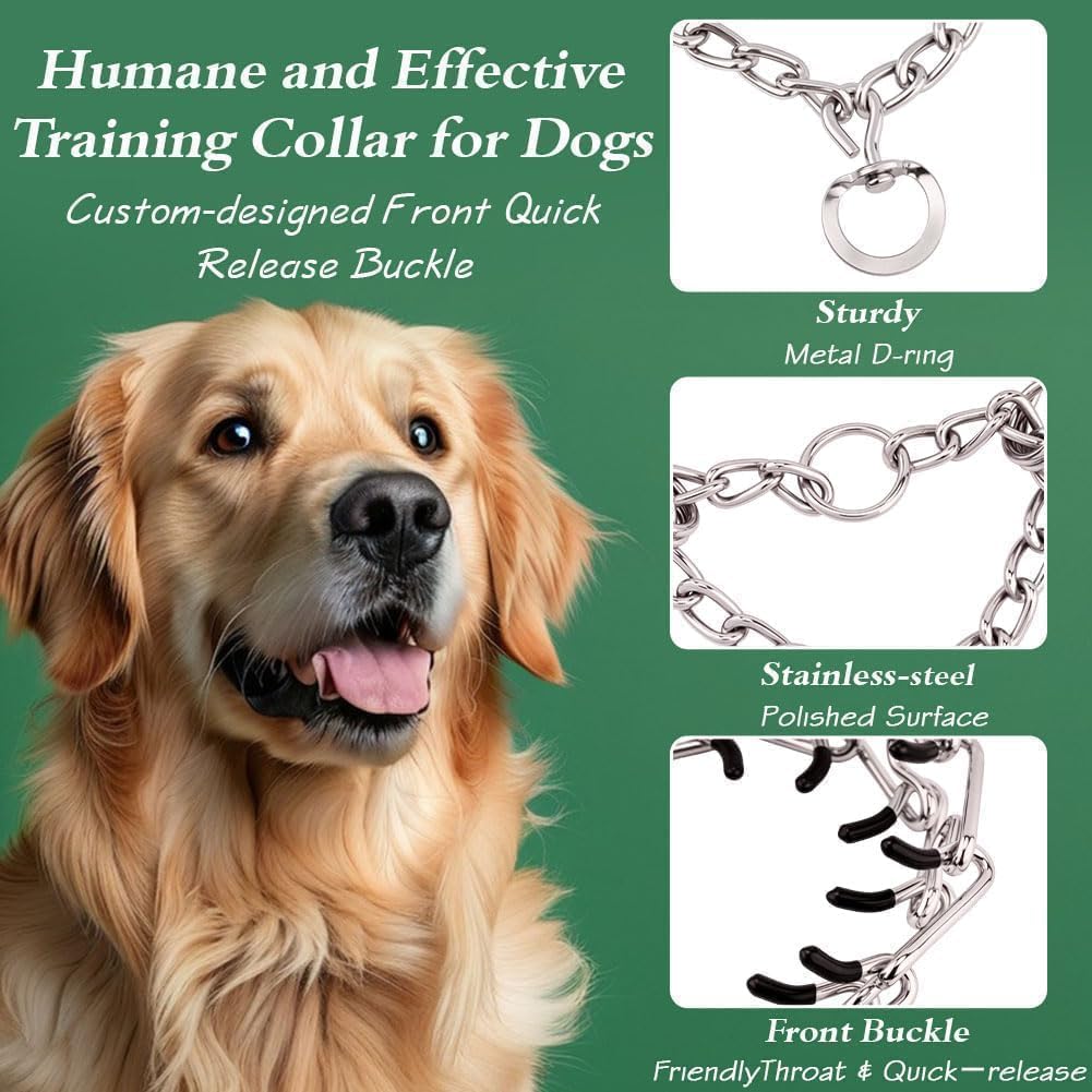 Heavy duty metal choker collar for large dog obedience walk guidance