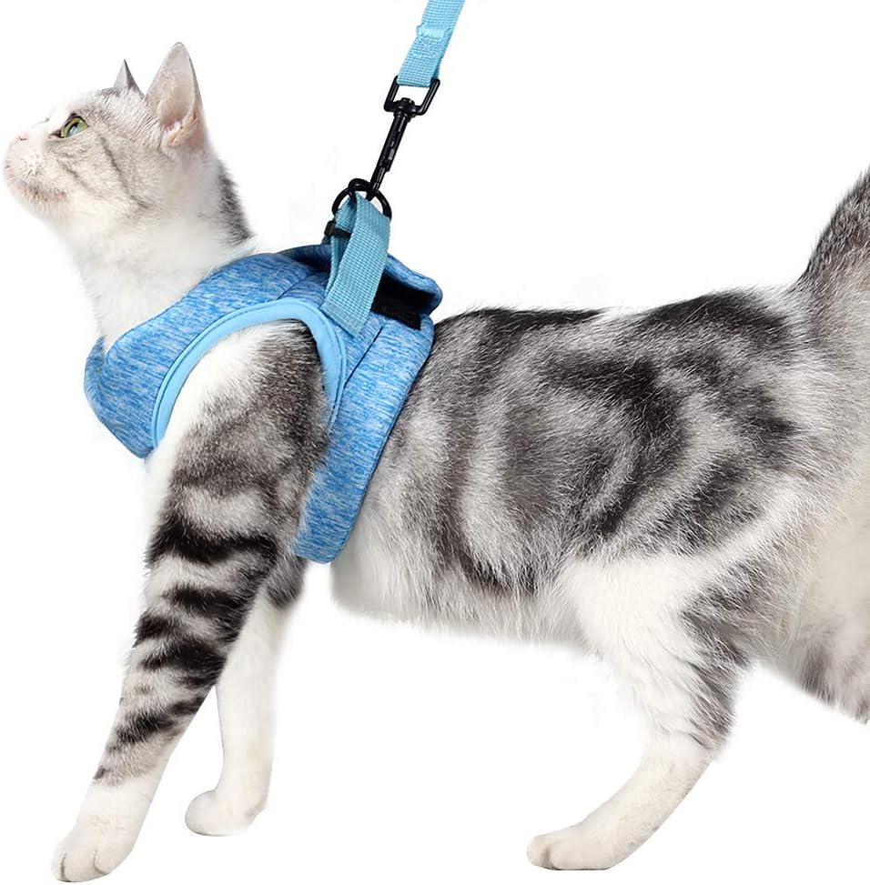 HEYWEAN Cat Harness and Leash - Ultra Light Escape Proof Kitten Collar Cat Walking Jacket with Running Cushioning Soft and Comfortable Suitable for Puppies Rabbits - Image 12