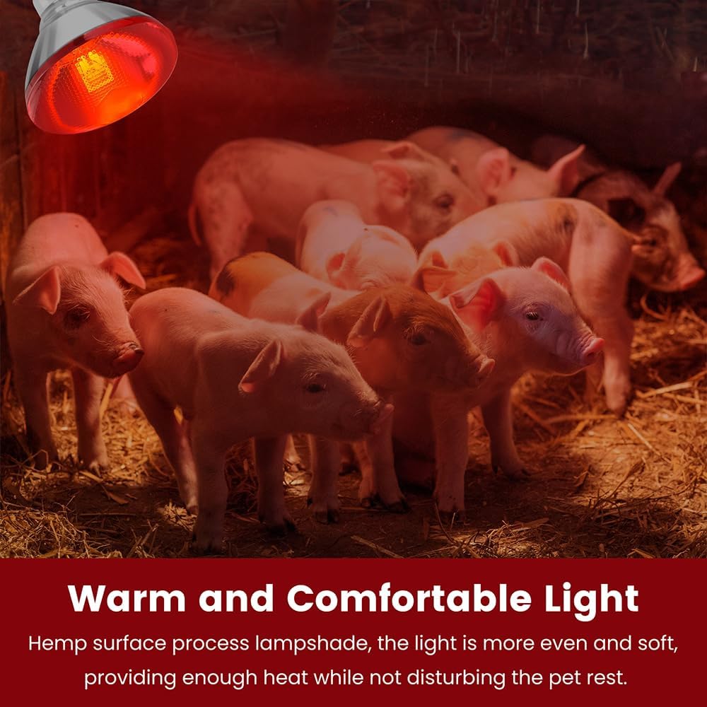 DaToo infrared brooding light providing warmth to small pets and reptiles in an enclosure.