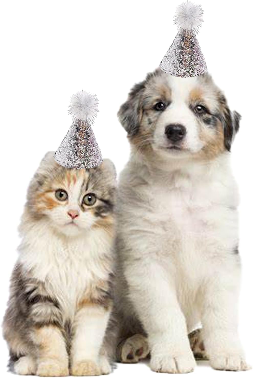 Assortment of gold and silver birthday hats for pets