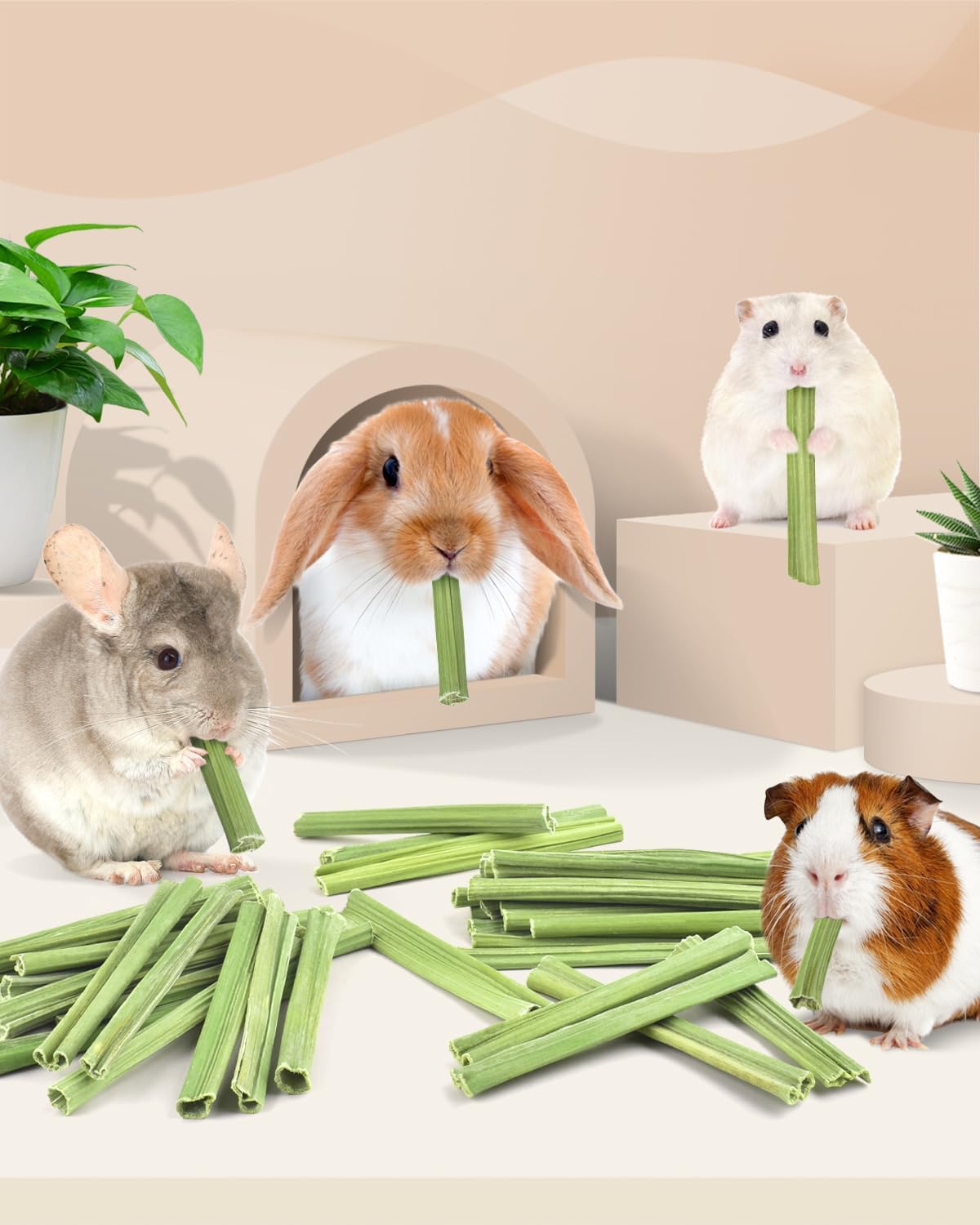 Premium imported small pet snack sticks for anxiety and boredom relief