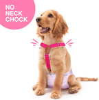Pet Soft Dog Belly Bands Camo M + Dog Suspenders 2 Pieces M - Image 9