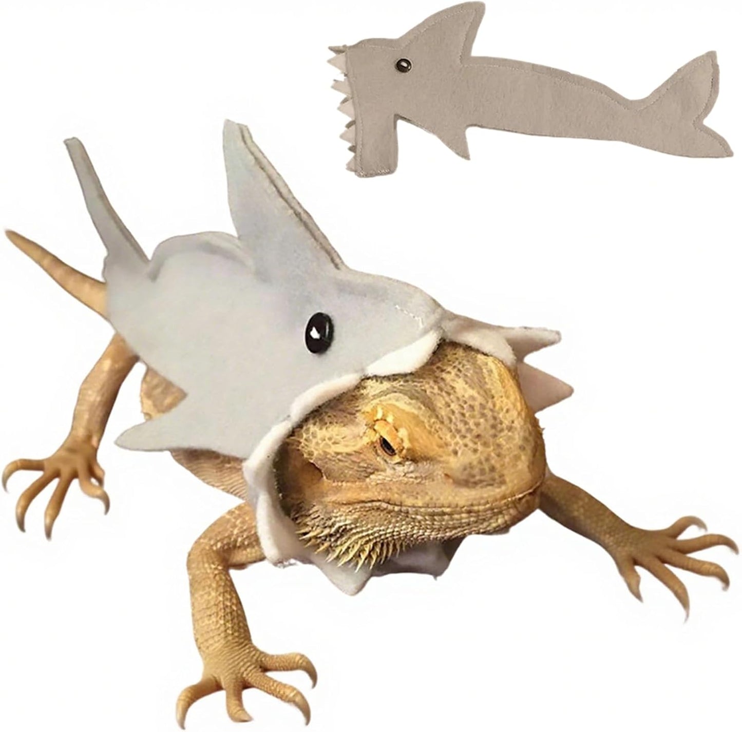 Dinhala bearded dragon clothes showing front view of reptile wearing cute shark outfit