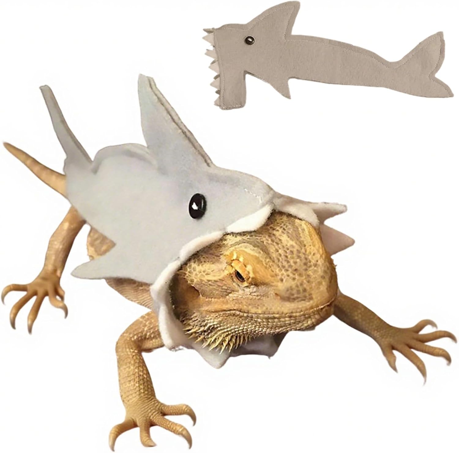 Dinhala bearded dragon clothes showing front view of reptile wearing cute shark outfit