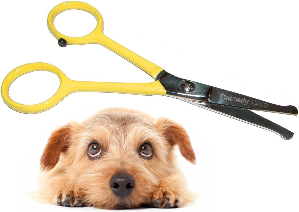 Authentic Scaredy Cut silent pet trimmer demonstration on table