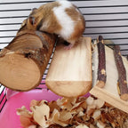 4 Pack Natural Wood Bird Perch Set for Parakeet Cage - Image 6