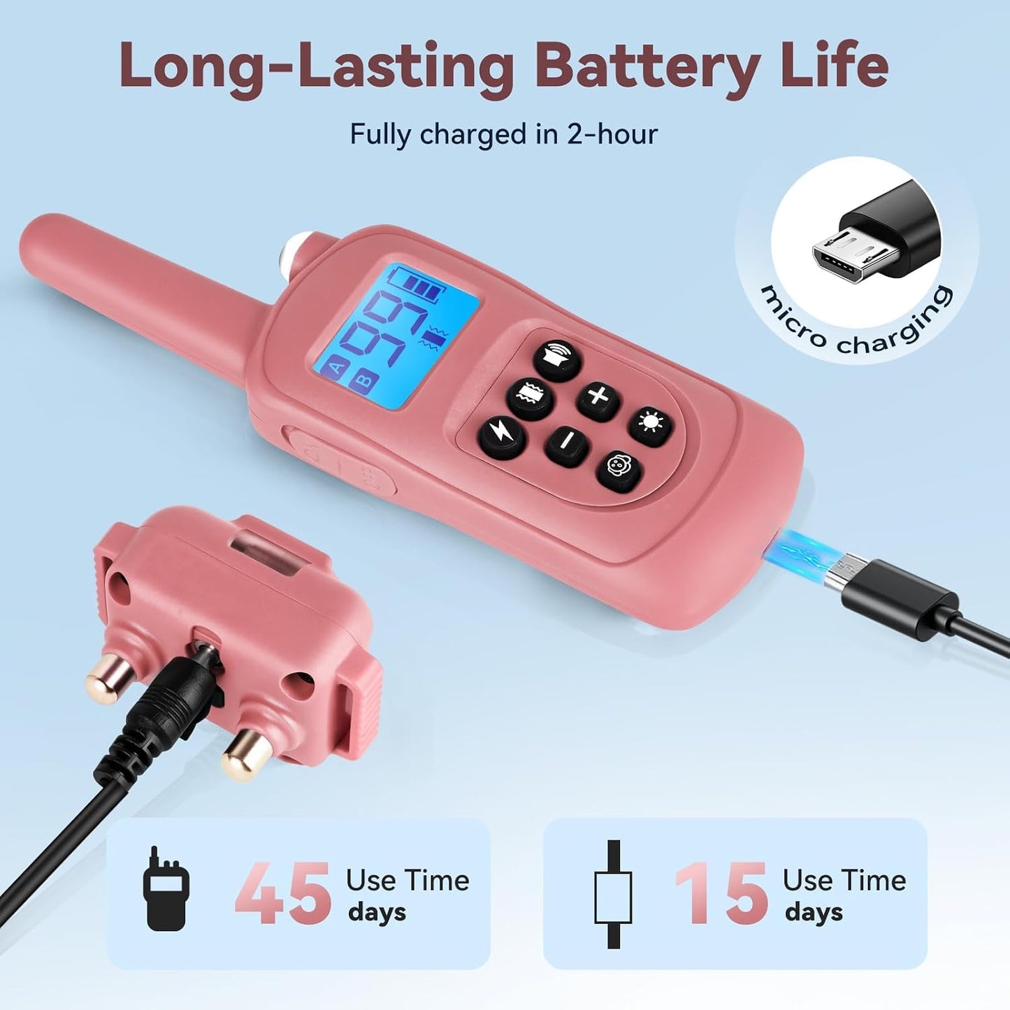 Fashilead collar receiver on small dog model