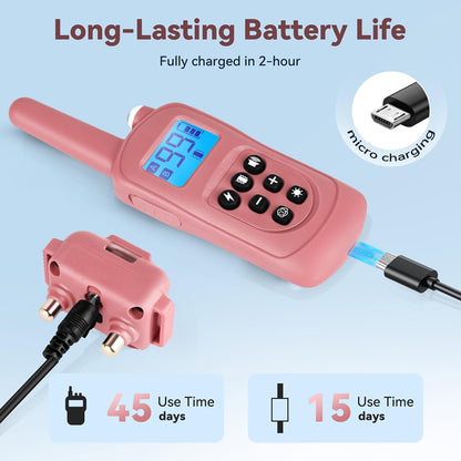 Fashilead collar receiver on small dog model