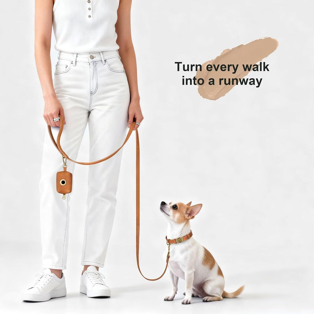 Close up view of the durable three hundred and sixty degree tangle free metal clip on the Didog leash.