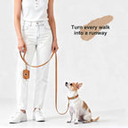 Close up view of the durable three hundred and sixty degree tangle free metal clip on the Didog leash.