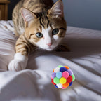 Noiseless lightweight teething balls for kittens bouncing on floor