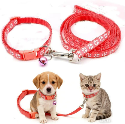 Detailed view of the secure clip and leash attachment