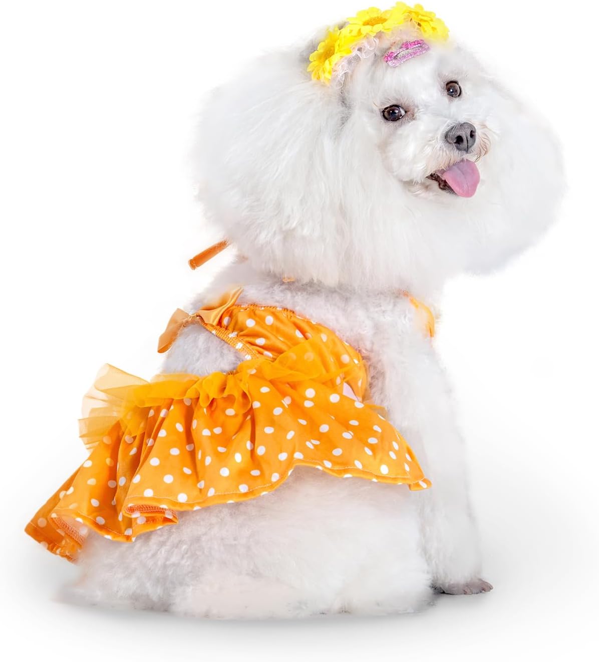 CuteBone luxury pet beach clothes flat lay presentation