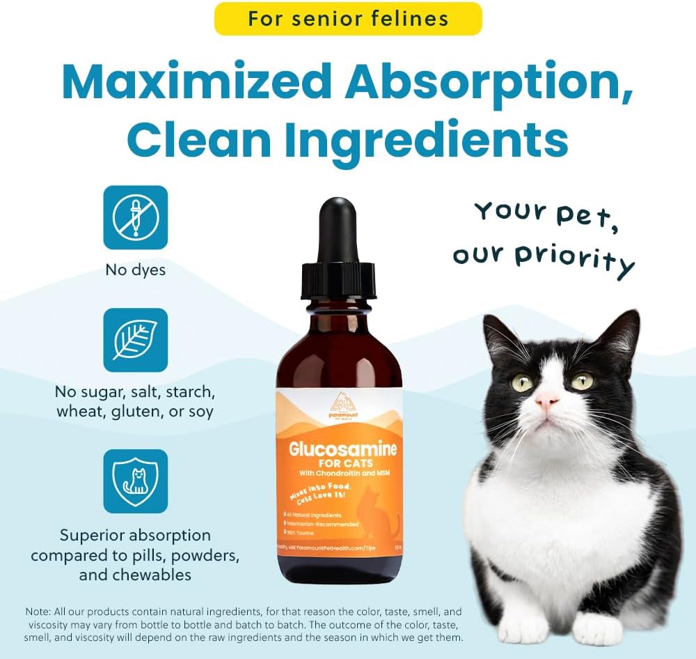 Close up of liquid glucosamine supplement texture and dropper
