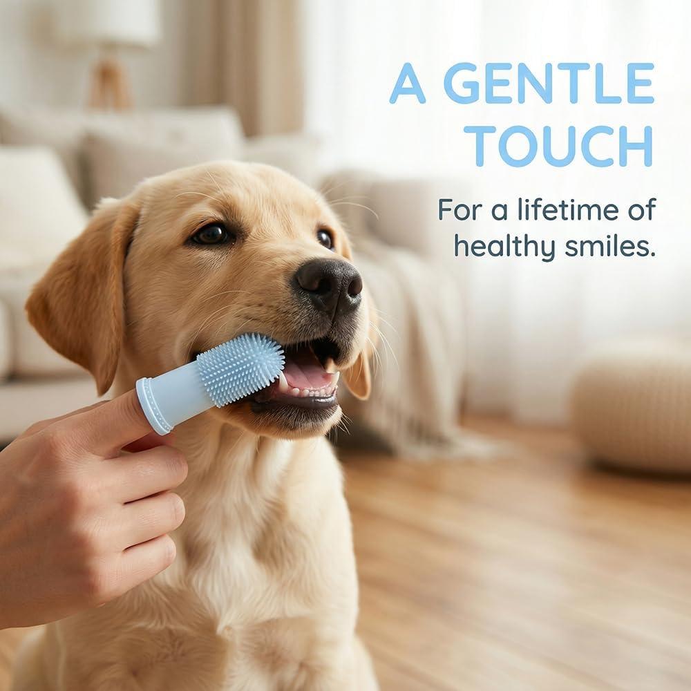 Transparent protective storage cases for finger toothbrushes